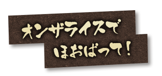 オンザライスでほおばって！