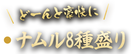 ナムル8種盛り